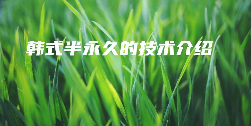 韓式半永久的技術(shù)介紹插圖