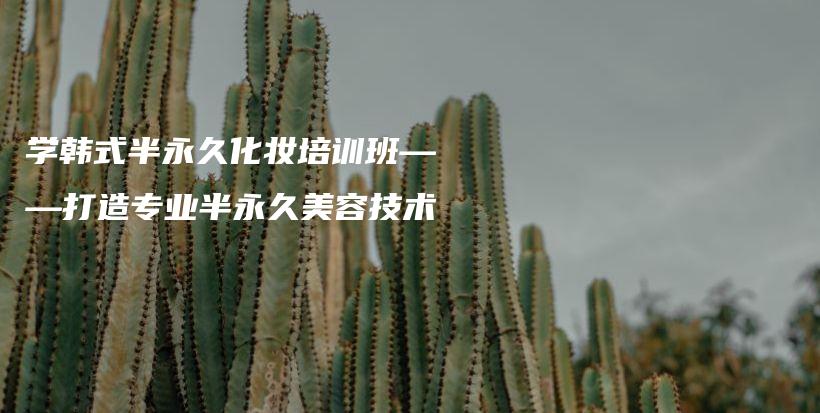學(xué)韓式半永久化妝培訓(xùn)班——打造專業(yè)半永久美容技術(shù)插圖