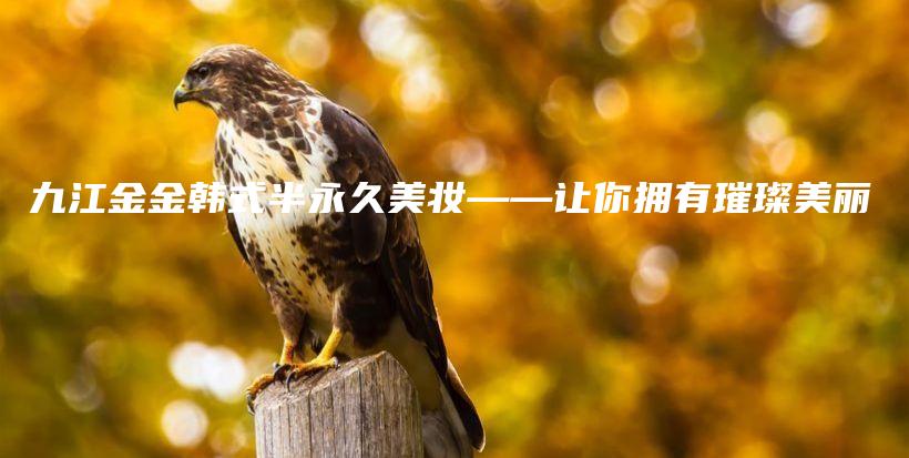 九江金金韓式半永久美妝——讓你擁有璀璨美麗插圖