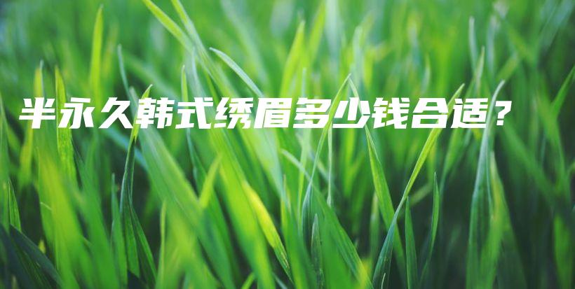 半永久韓式繡眉多少錢合適？插圖