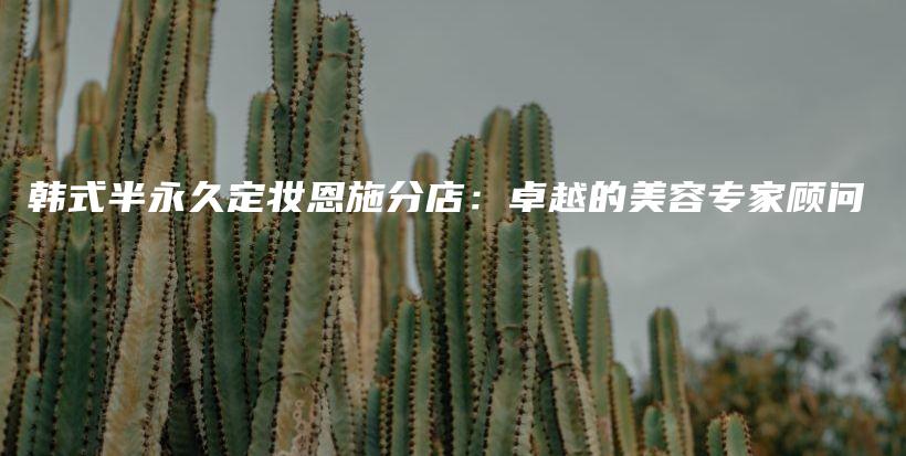 韓式半永久定妝恩施分店：卓越的美容專家顧問插圖