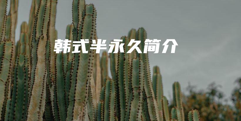 韓式半永久簡介插圖