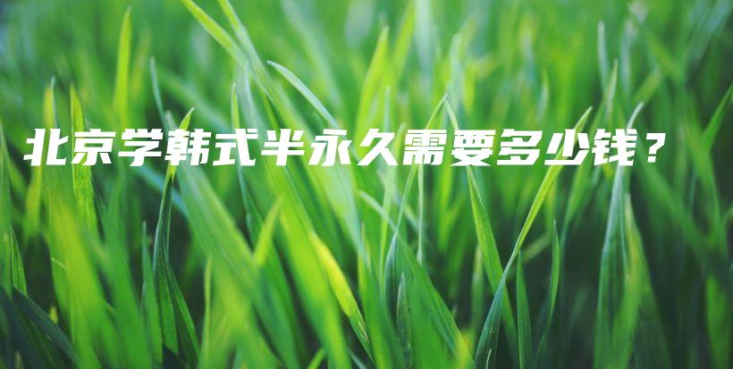北京學(xué)韓式半永久需要多少錢(qián)？插圖