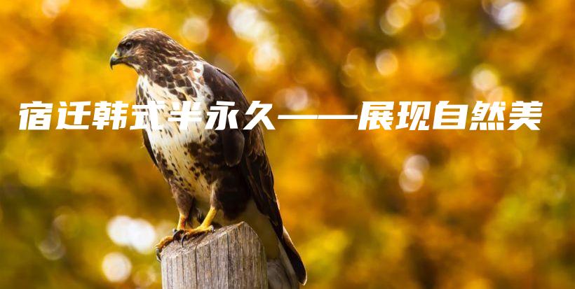 宿遷韓式半永久——展現(xiàn)自然美插圖