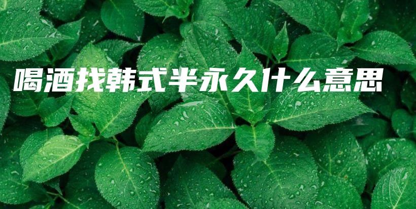 喝酒找韓式半永久什么意思插圖