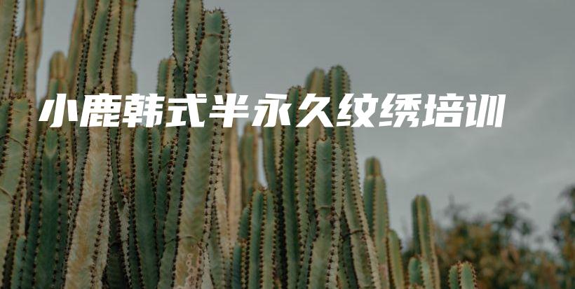 小鹿韓式半永久紋繡培訓(xùn)插圖