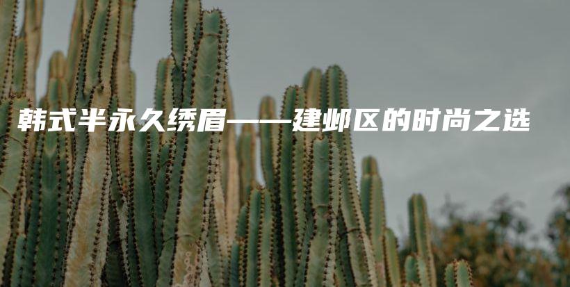 韓式半永久繡眉——建鄴區(qū)的時(shí)尚之選插圖
