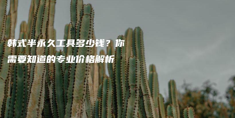 韓式半永久工具多少錢？你需要知道的專業(yè)價(jià)格解析插圖