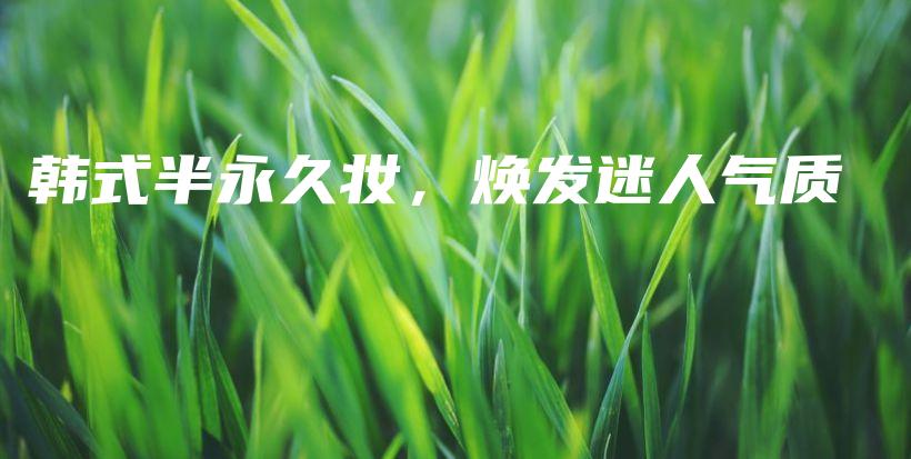韓式半永久妝，煥發(fā)迷人氣質(zhì)插圖