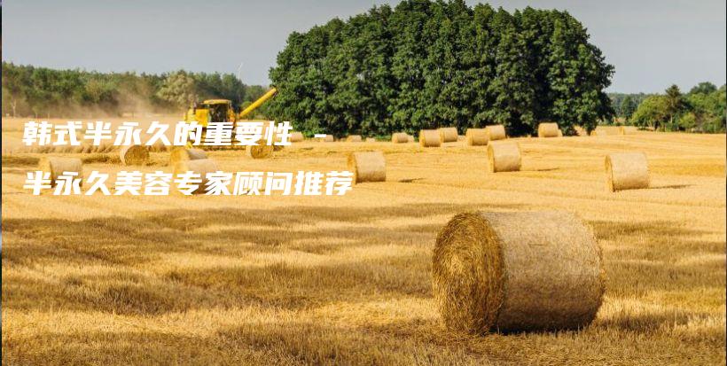 韓式半永久的重要性 – 半永久美容專家顧問(wèn)推薦插圖