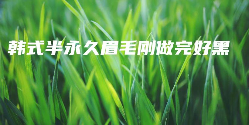 韓式半永久眉毛剛做完好黑插圖