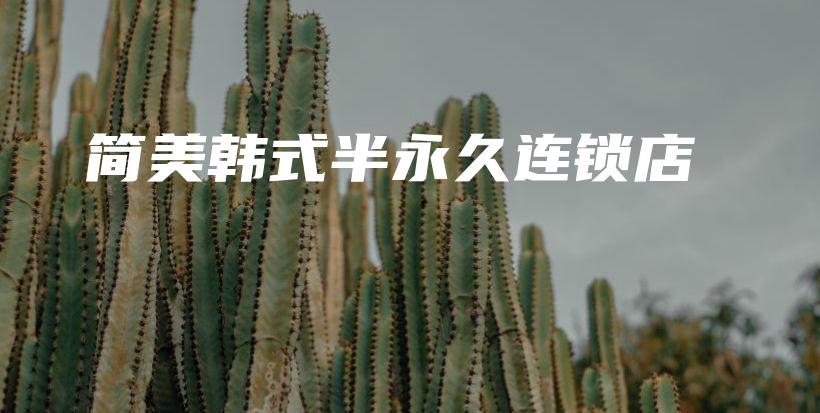 簡美韓式半永久連鎖店插圖