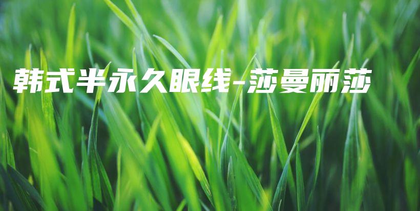 韓式半永久眼線-莎曼麗莎插圖