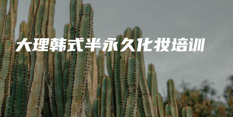 大理韓式半永久化妝培訓(xùn)插圖