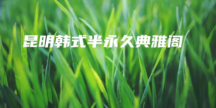 昆明韓式半永久典雅閣插圖