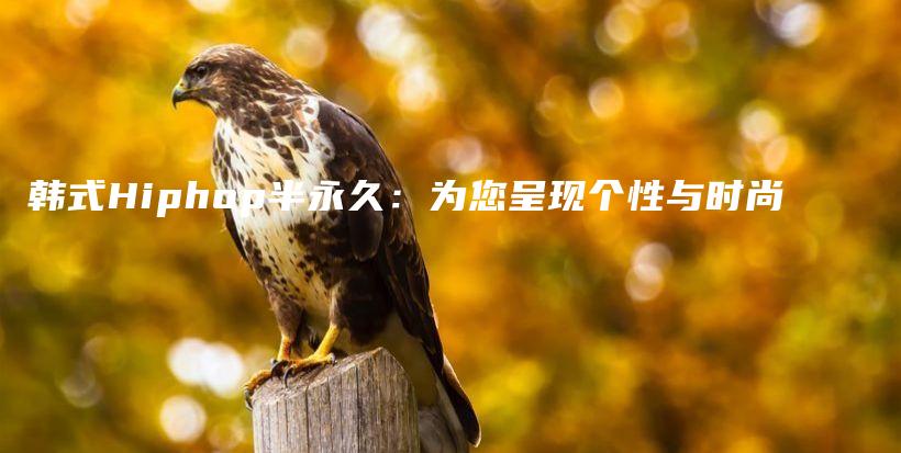 韓式Hiphop半永久：為您呈現(xiàn)個性與時尚插圖