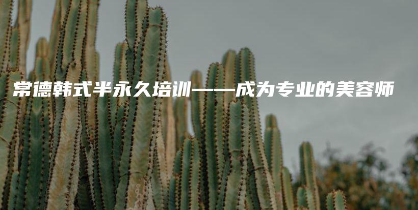 常德韓式半永久培訓(xùn)——成為專業(yè)的美容師插圖