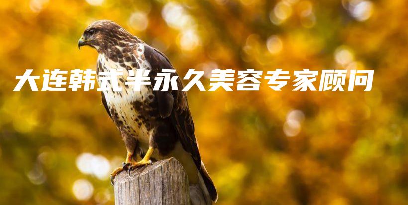 大連韓式半永久美容專家顧問插圖