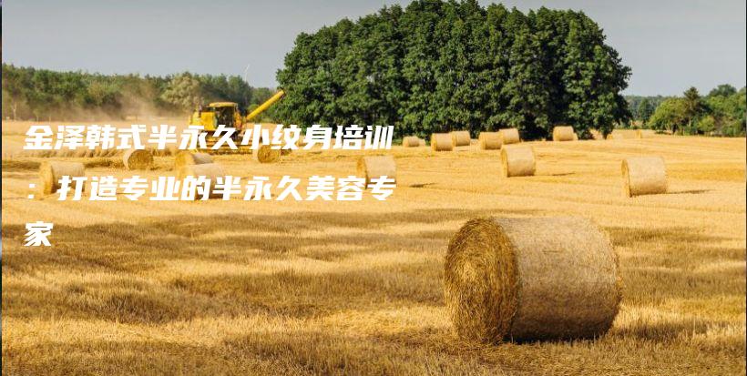 金澤韓式半永久小紋身培訓(xùn)：打造專業(yè)的半永久美容專家插圖