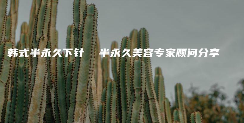 韓式半永久下針  半永久美容專家顧問分享插圖