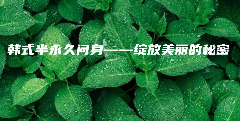 韓式半永久問身——綻放美麗的秘密插圖