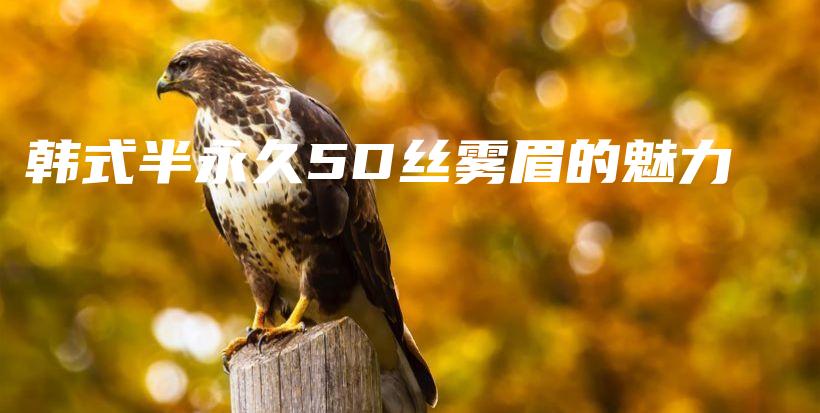 韓式半永久5D絲霧眉的魅力插圖