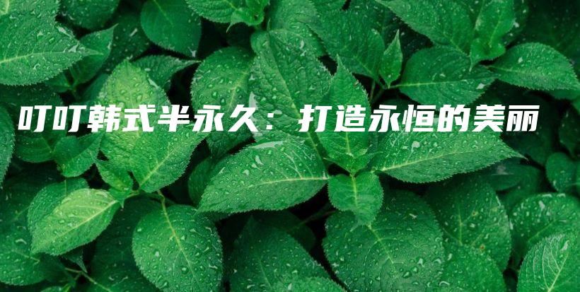 叮叮韓式半永久：打造永恒的美麗插圖