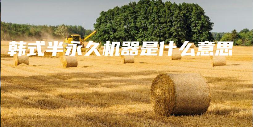 韓式半永久機器是什么意思插圖