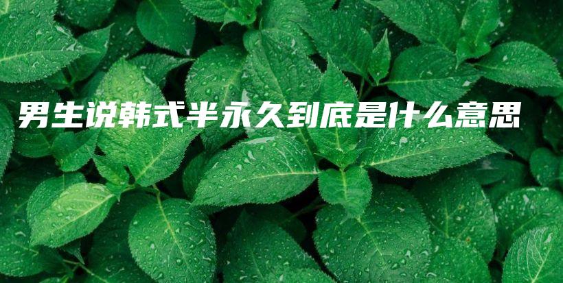 男生說韓式半永久到底是什么意思插圖