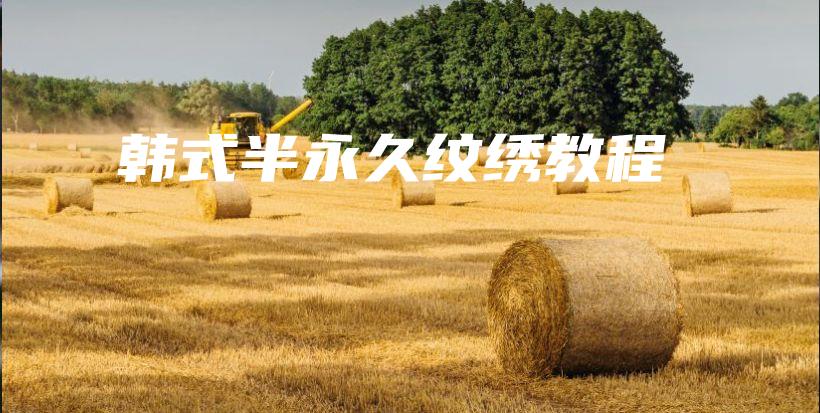 韓式半永久紋繡教程插圖