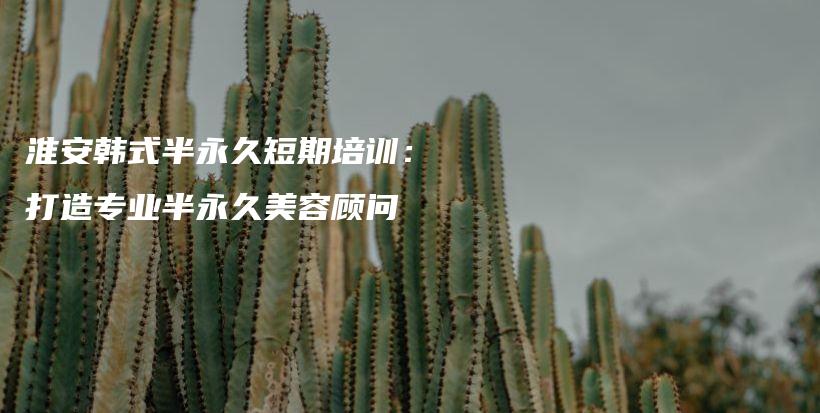 淮安韓式半永久短期培訓：打造專業(yè)半永久美容顧問插圖