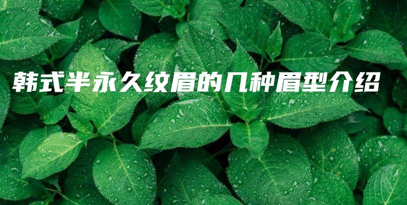 韓式半永久紋眉的幾種眉型介紹插圖