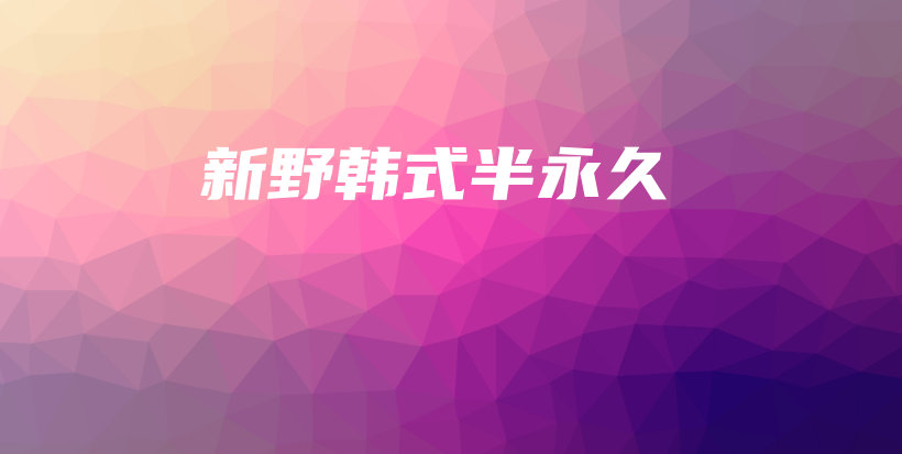新野韓式半永久插圖