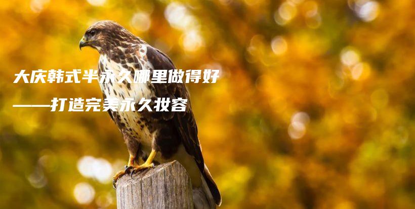大慶韓式半永久哪里做得好——打造完美永久妝容插圖
