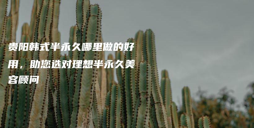 貴陽韓式半永久哪里做的好用，助您選對理想半永久美容顧問插圖