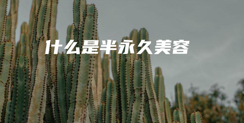 什么是半永久美容插圖