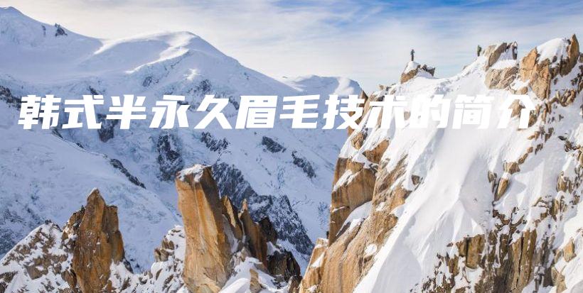韓式半永久眉毛技術(shù)的簡介插圖