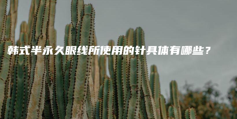 韓式半永久眼線所使用的針具體有哪些？插圖