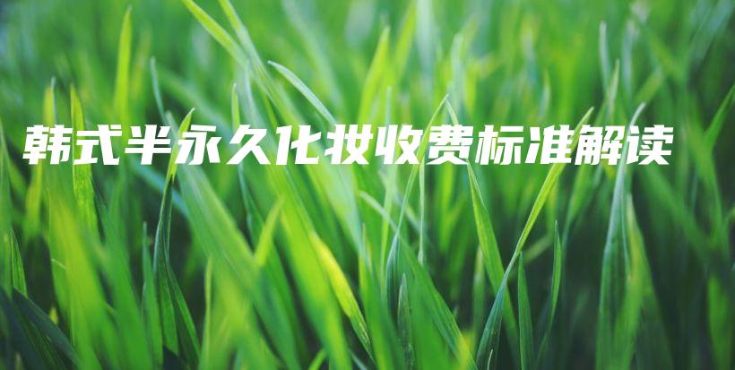 韓式半永久化妝收費(fèi)標(biāo)準(zhǔn)解讀插圖