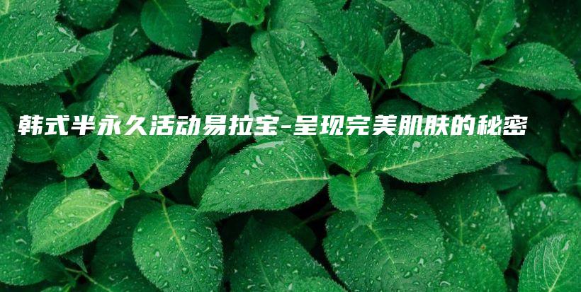 韓式半永久活動易拉寶-呈現(xiàn)完美肌膚的秘密插圖