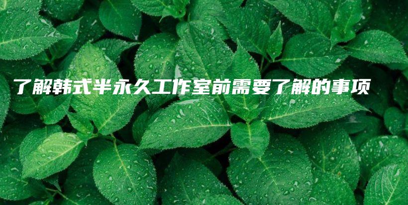 了解韓式半永久工作室前需要了解的事項插圖