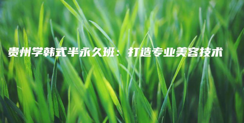 貴州學(xué)韓式半永久班：打造專業(yè)美容技術(shù)插圖