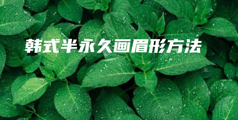 韓式半永久畫眉形方法插圖