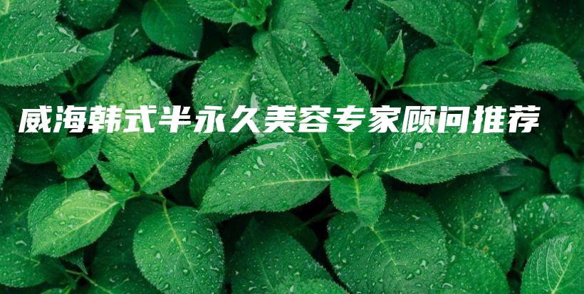 威海韓式半永久美容專家顧問推薦插圖