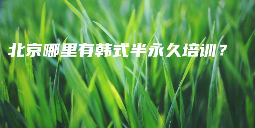 北京哪里有韓式半永久培訓(xùn)？插圖