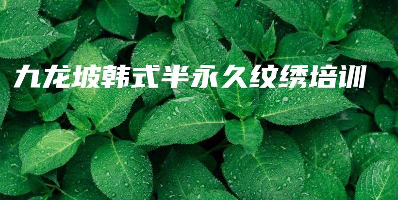 九龍坡韓式半永久紋繡培訓(xùn)插圖