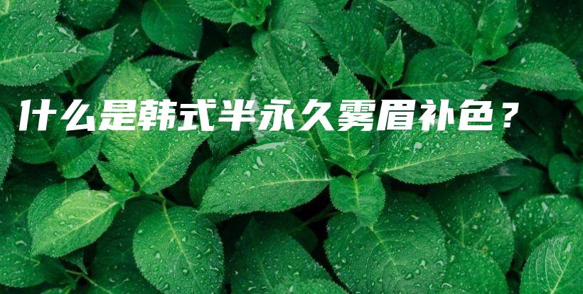 什么是韓式半永久霧眉補色？ – Anne美學(xué)插圖4