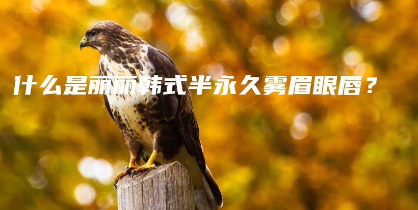 什么是麗麗韓式半永久霧眉眼唇？插圖