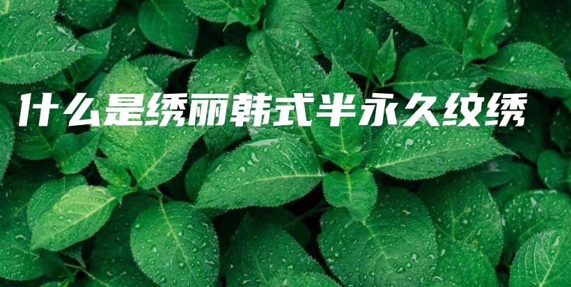 什么是繡麗韓式半永久紋繡插圖