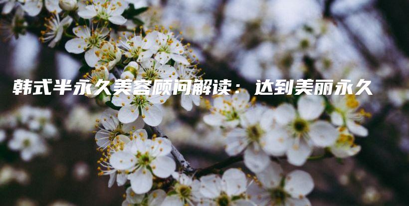 韓式半永久美容顧問(wèn)解讀：達(dá)到美麗永久插圖
